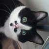 svsutkina76