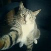 Mike_WoW