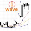 firstwavefund