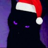 black_cat84