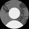 qq955933