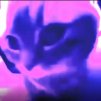 Ivans_0