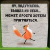 AnnMsk