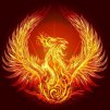 phx_2024
