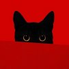 Rollo