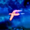 f1nik02
