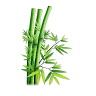 Бамбук_2