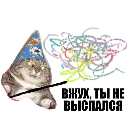 Кот Вжух