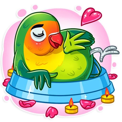 Love Birds