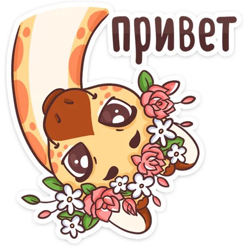 Жираф Кокосик