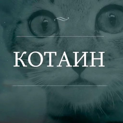 Утипутин