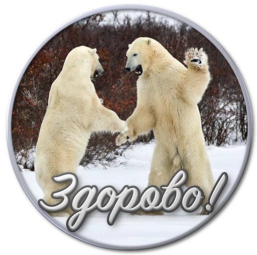 Сибирский валенок