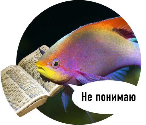 Рыбы пытаются читать