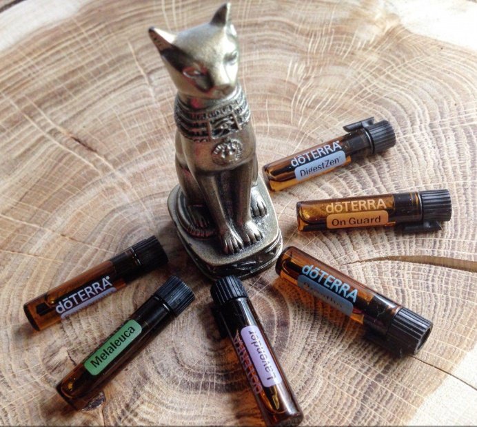 DoTerra для всех