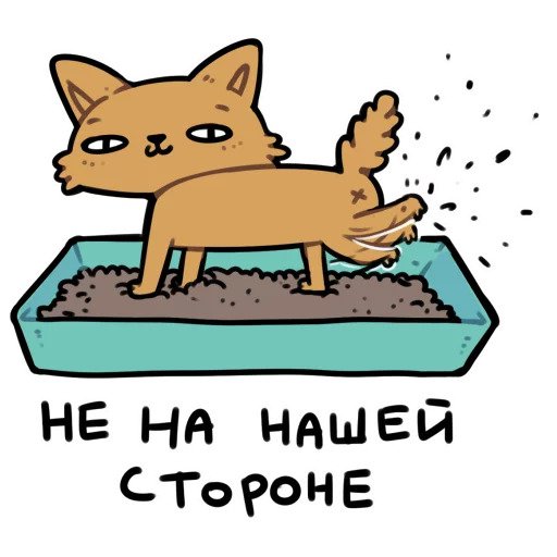 CI Cat