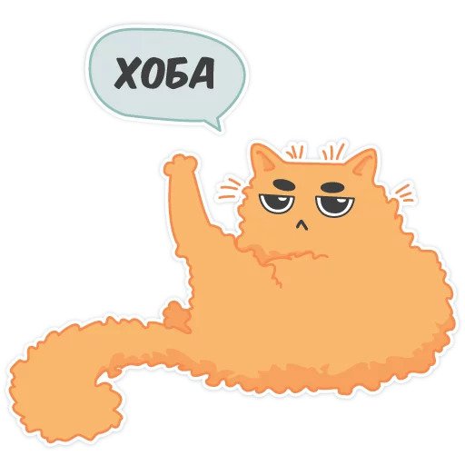 Бонифаций