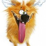 BeStGIF'ka