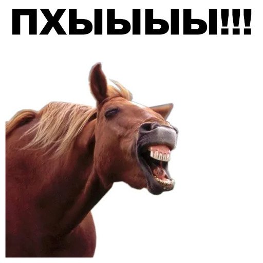 Животные