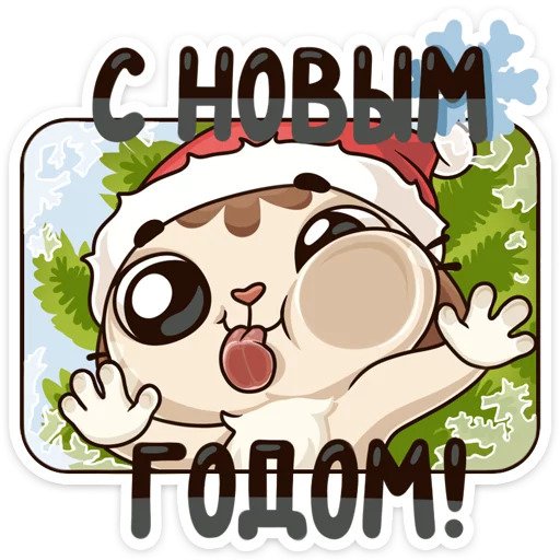 Зимний котик