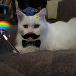 Memes from Artemis