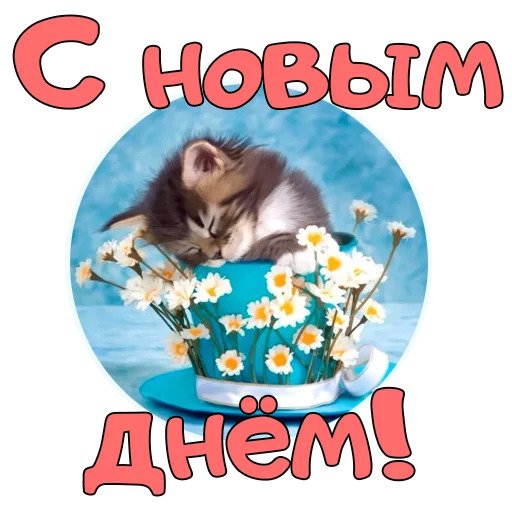 Доброе утро