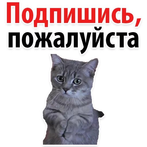 Подпишись, пожалуйста