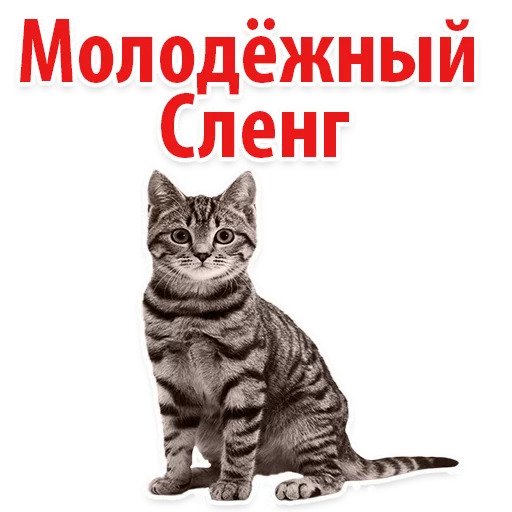 Молодежный сленг