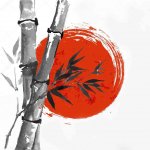 Anidojo