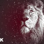 STOK | Мужской канал