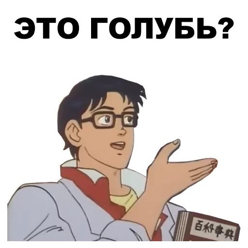 Это голубь