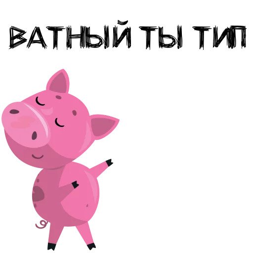 Piggy