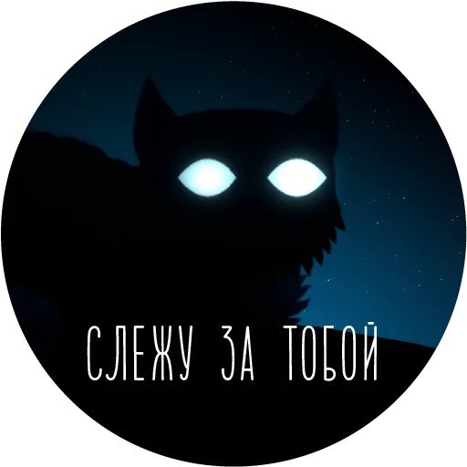 Ночь в лесу