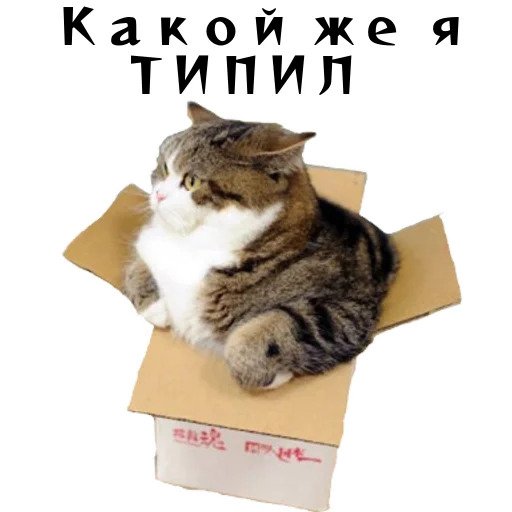 Колкие фразы