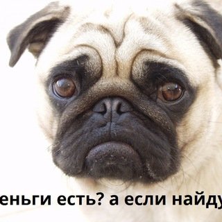 МОбс