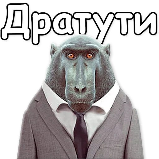Дерзкие животные