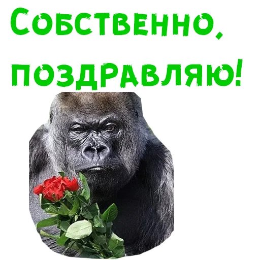 Женский день