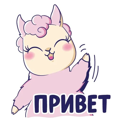Лама без драмы