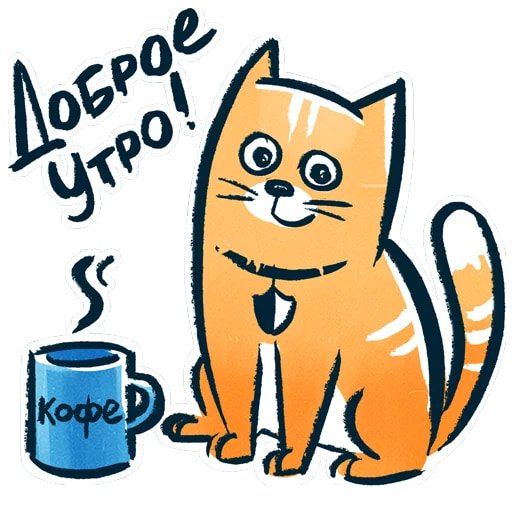 Шифрокот