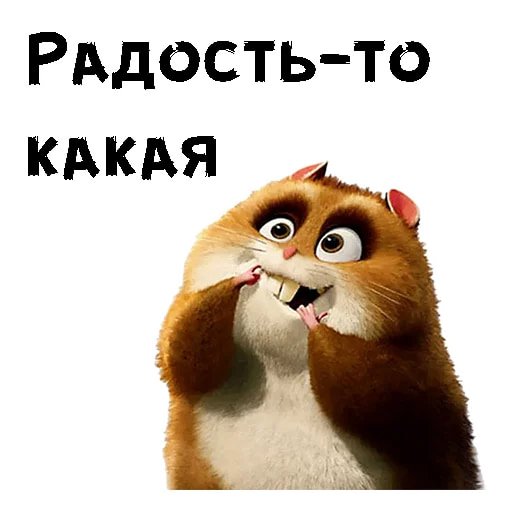 Хомяк Рино