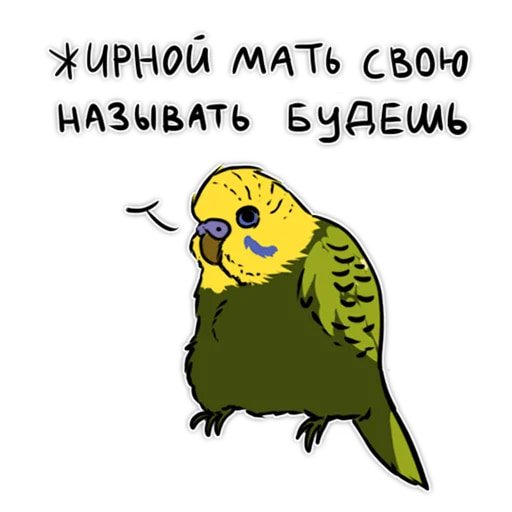 Злые попугайчики