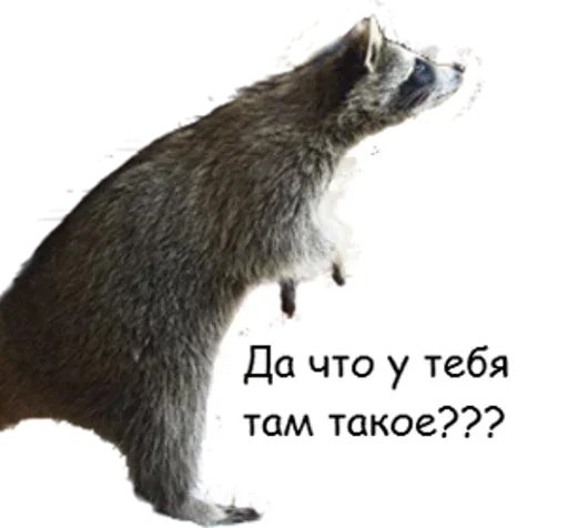 Енотовиль