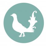 albinadesign