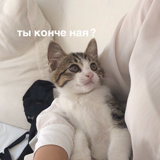 Котя
