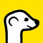 MEERKAD | Мы спрашиваем - вы отвечаете
