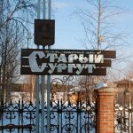 Сургут в кармане