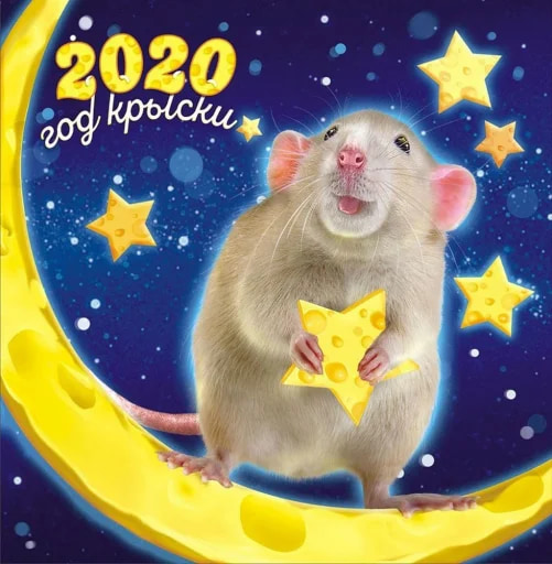 Год Крыски 2020