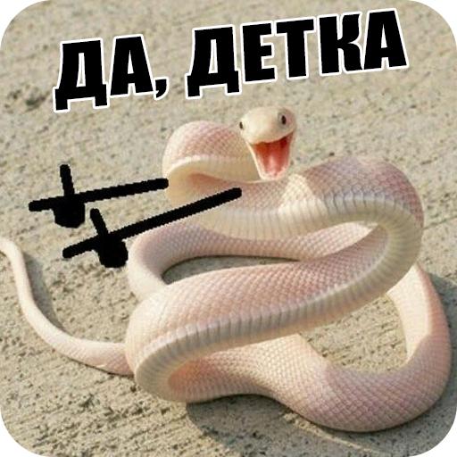 Забавные змеи