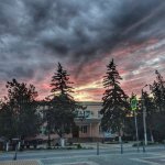 Объявления Гвардейское