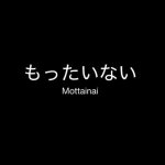 Mottainai