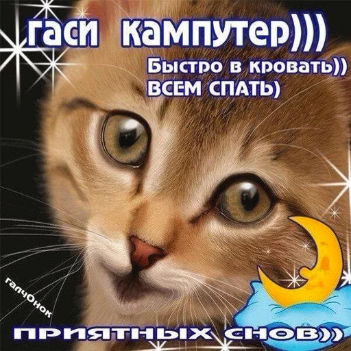 Всратые одноклассники
